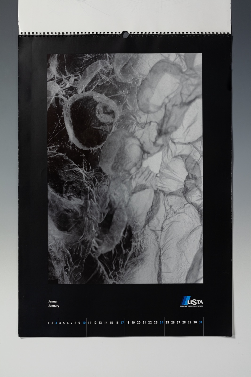 veronika_bischoff_0274