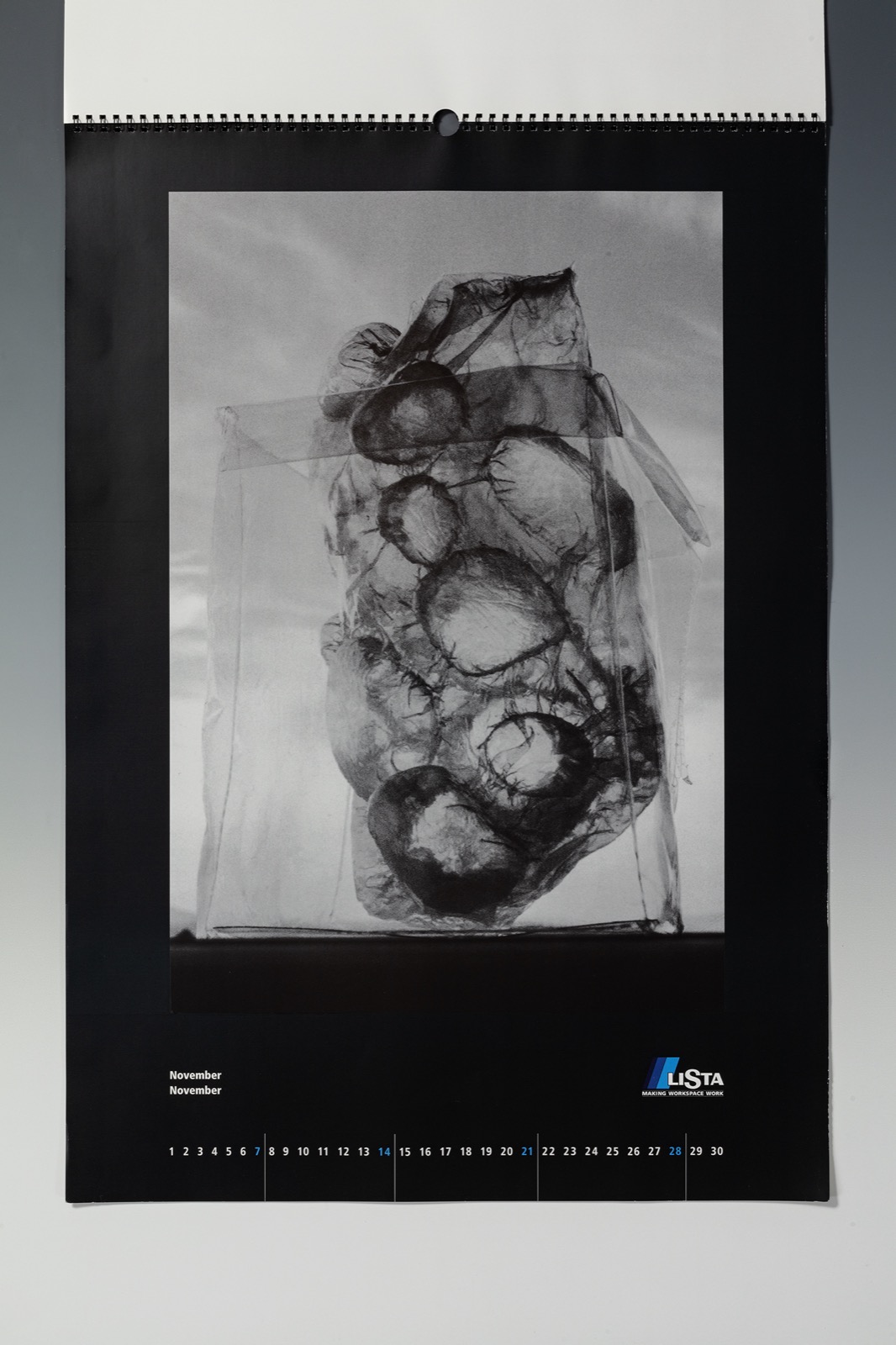 veronika_bischoff_0301